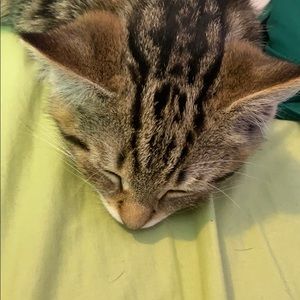 Meet your Posher, Aliyah